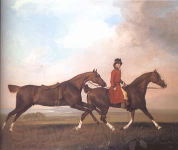 STUBBS, George William Anderson with Two Saddle Horses (mk25) Spain oil painting art